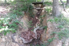 2013-06-01-12-18-16